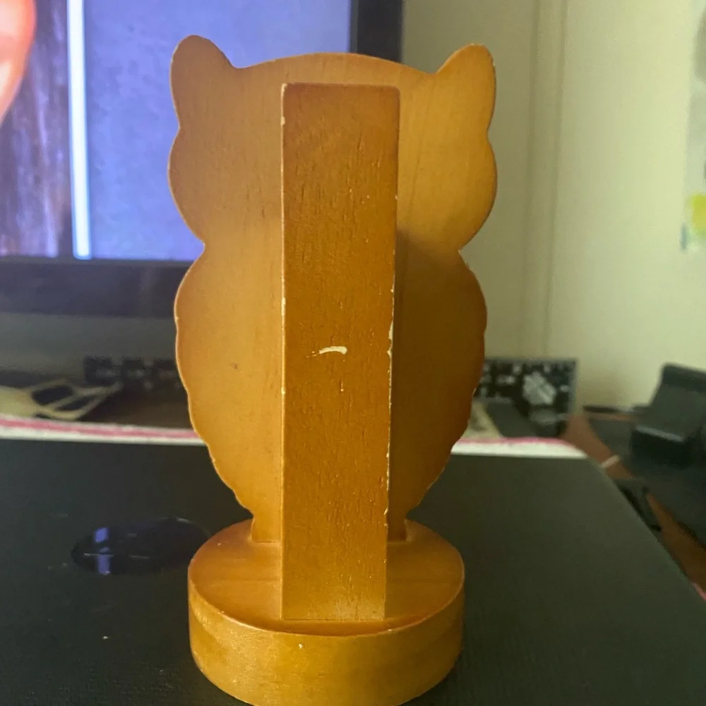 NATURAL LIFE Brown Owl Glasses Holder - Picture 3 of 7